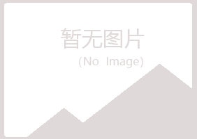 岐山县如柏运输有限公司